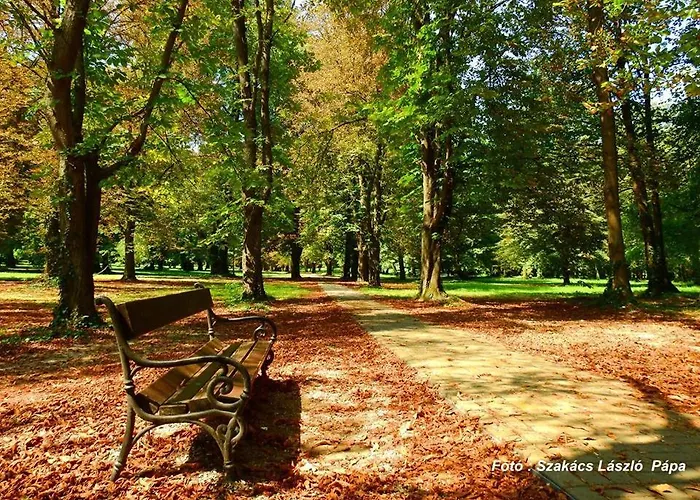 Szofi Fenyves U. 19. 아파트 Pápa